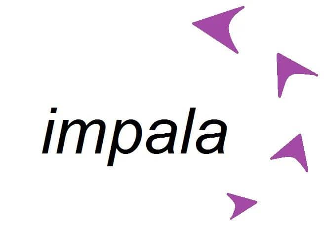 WhatsApp Image 2026-03-16 at 19.56