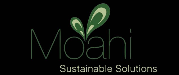 WhatsApp Image 2026-03-16 at 20.13