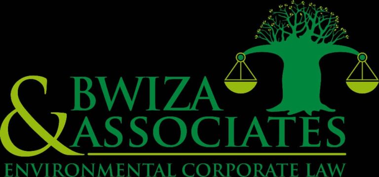 WhatsApp Image 2026-03-16 at 20.41