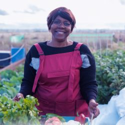 Plan de travailS.jpg